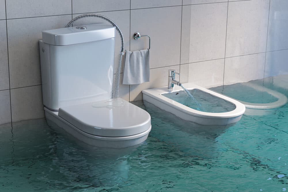 Toilet Problems Tom's Plumbing & Drain Services
